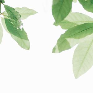 色一情一伦一子一伦一区
